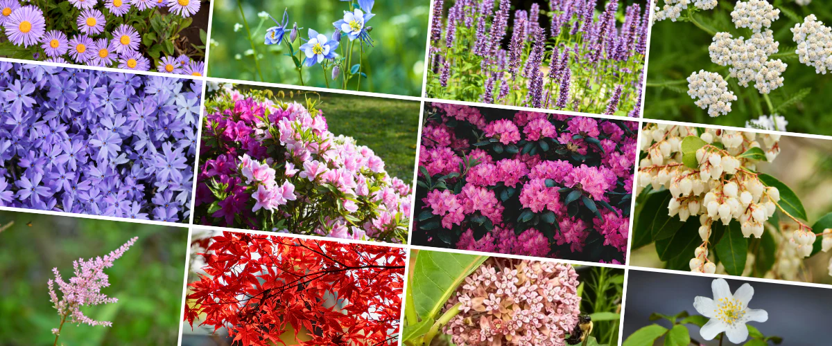 Where Every Home Flourishes
